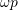 Rendered by QuickLaTeX.com \omega p