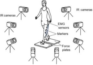 Engineering At Alberta Courses Gait Analysis Engineering At Alberta Courses Gait Analysis